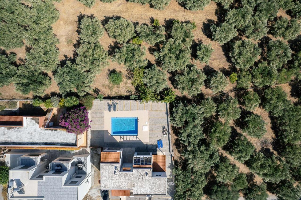 Greek Sky - New Modern Apartment With Shared Pool Tavronitis Exteriér fotografie